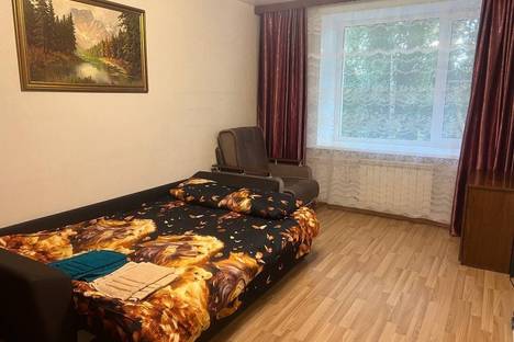 Однокомнатная квартира в аренду посуточно в Выборге по адресу ул. Кривоносова, 17