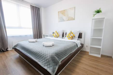 Однокомнатная квартира в аренду посуточно в Москве по адресу Новомосковский административный округ, р-н  Внуково, Аэростатная ул., 6к2