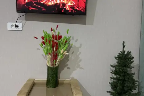 1-комнатная квартира во Владимире, Северная ул., 2Б