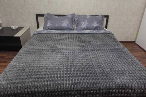 1-комнатная квартира в Воронеже, ул. Перевёрткина, 1/2