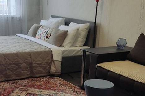 1-комнатная квартира в Воронеже, ул. Перевёрткина, 1/1