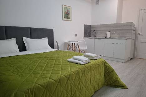 1-комнатная квартира в Санкт-Петербурге, Санкт-Петербург, Светлановский пр-кт, 14к1