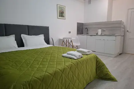 1-комнатная квартира в Санкт-Петербурге, Светлановский пр-кт, 14к1