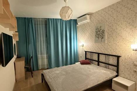 Однокомнатная квартира в аренду посуточно в Московской области по адресу г.о. Химки, д. Подолино, мкр. Велтон Парк Новая Сходня, Беговая ул., 12