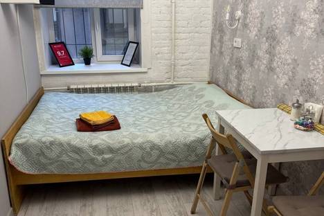 1-комнатная квартира в Санкт-Петербурге, Манежный пер., 8