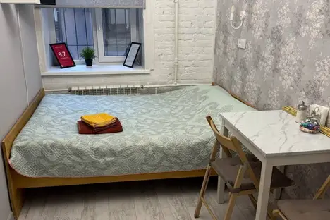 1-комнатная квартира в Санкт-Петербурге, Манежный пер., 8