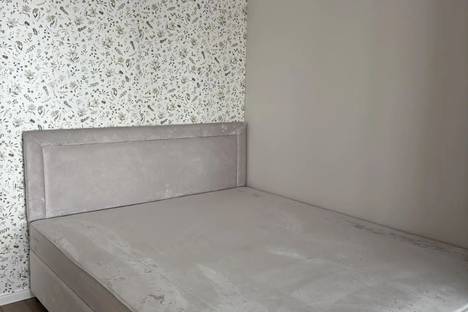 Однокомнатная квартира в аренду посуточно в Хабаровске по адресу Воронежское ш., 3А/1