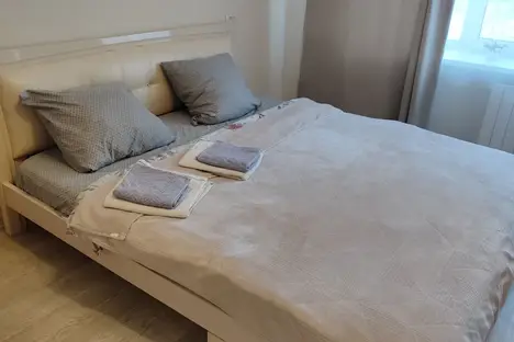 1-комнатная квартира в Хабаровске, Краснодарская ул., 23В