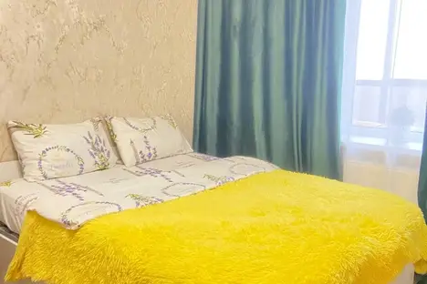 1-комнатная квартира в Санкт-Петербурге, Санкт-Петербург, пр-кт Народного Ополчения, 149