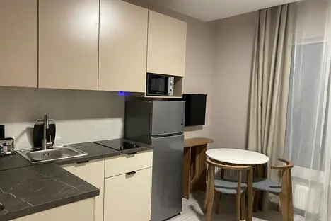 1-комнатная квартира в Сестрорецке, Сестрорецк, ул. Инструментальщиков, 18