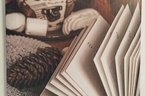 Однокомнатная квартира в аренду посуточно в Твери по адресу ул. Шишкова, 91