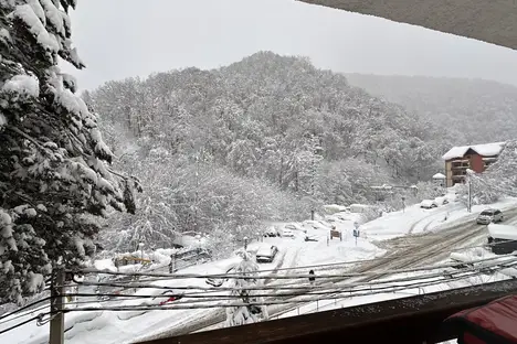 1-комнатная квартира в Красной Поляне, Ачишховская ул., 2А