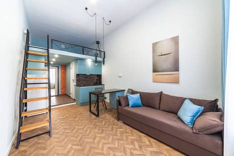 Однокомнатная квартира в аренду посуточно в Санкт-Петербурге по адресу ул. Чапаева, 11/4