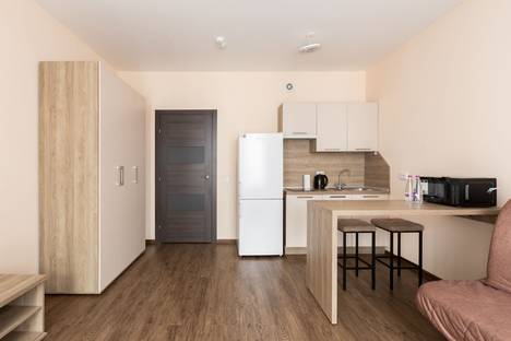 1-комнатная квартира в Санкт-Петербурге, Торфяная дор., 17к6