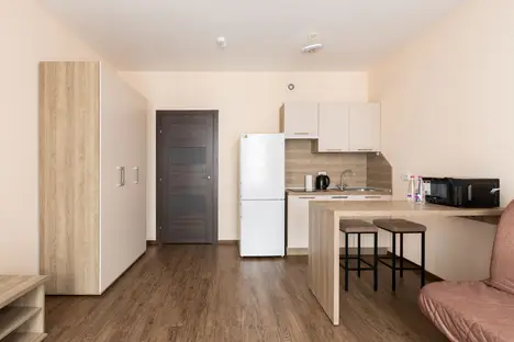 1-комнатная квартира в Санкт-Петербурге, Торфяная дор., 17к6