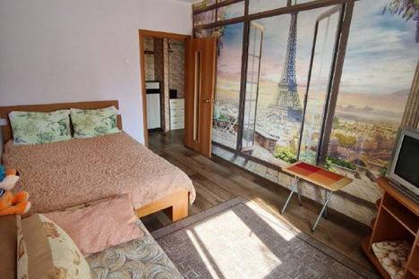 Однокомнатная квартира в аренду посуточно в Челябинске по адресу ул. Братьев Кашириных, 101