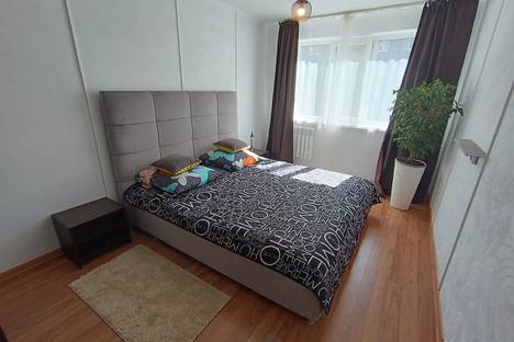 Однокомнатная квартира в аренду посуточно в Екатеринбурге по адресу ул. Шаумяна, 86к2