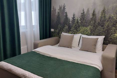 1-комнатная квартира в Шерегеше, Шерегеш, ул. Гагарина, 51/2