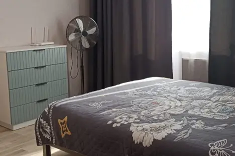 1-комнатная квартира в Новосибирске, Новосибирск, ул. Петухова, 162