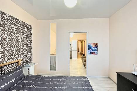 1-комнатная квартира в Екатеринбурге, Самолётная ул., 33