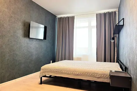 1-комнатная квартира в Воронеже, Воронеж, ул. Ленина, 43