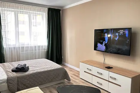 1-комнатная квартира в Оренбурге, ул. Юркина, 4/1