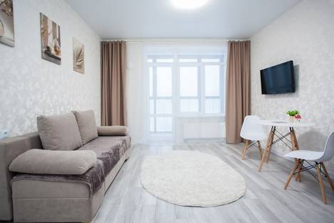 Однокомнатная квартира в аренду посуточно в Новосибирске по адресу ул. Аэропорт, 1/6