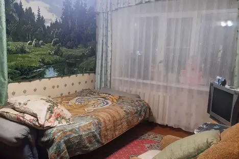 1-комнатная квартира в Рубцовске, Алейский пер., 30А