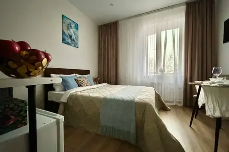 1-комнатная квартира в Троицке, Городская ул., 20