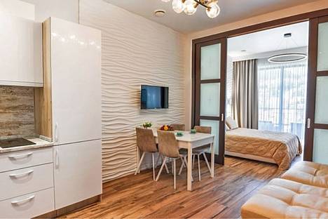 1-комнатная квартира в Сочи, Сочи, Курортный пр-кт, 105