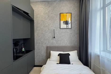 1-комнатная квартира в Санкт-Петербурге, Сердобольская ул., 7