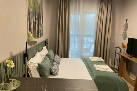 1-комнатная квартира в Сестрорецке, Сестрорецк, ул. Инструментальщиков, 18