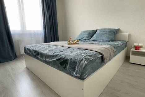 1-комнатная квартира в Рязани, Быстрецкая ул., 18к2