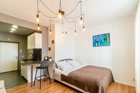 Однокомнатная квартира в аренду посуточно в Самаре по адресу пр-кт Карла Маркса, 4Е