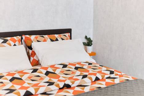 Однокомнатная квартира в аренду посуточно в Самаре по адресу ул. Мечникова, 3