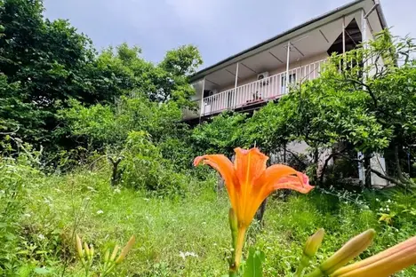 Дом в Новом Афоне, Сухумское ш., 90