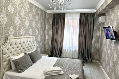 1-комнатная квартира в Нальчике, ул. Ахохова, 190А