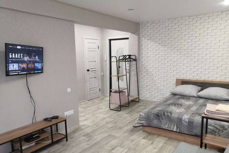 Однокомнатная квартира в аренду посуточно в Саянске по адресу Центральный мкр., 7