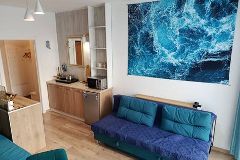 Однокомнатная квартира в аренду посуточно в Екатеринбурге по адресу Новосинарский б-р, 5