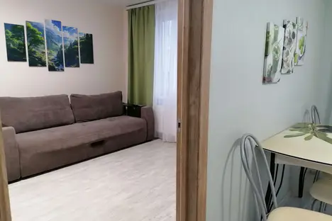 1-комнатная квартира в Тюмени, ул. Петра Ершова, 10