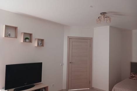 1-комнатная квартира в Екатеринбурге, Екатеринбург, ул. Спутников, 16