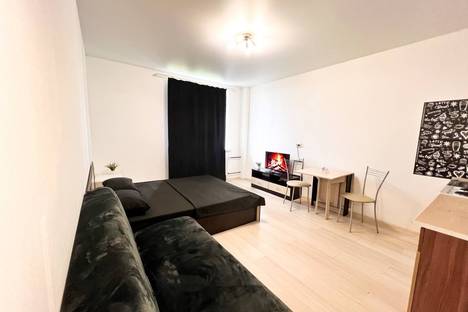 Однокомнатная квартира в аренду посуточно в Мурино по адресу Петровский б-р, 14к5