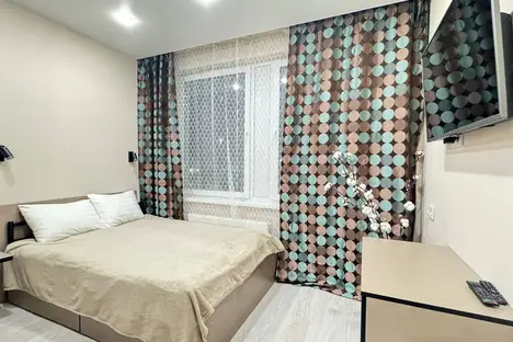 1-комнатная квартира в Шушарах, Шушары, Чудовская ул., 14к1