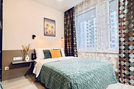 1-комнатная квартира в Шушарах, Чудовская ул., 14к1