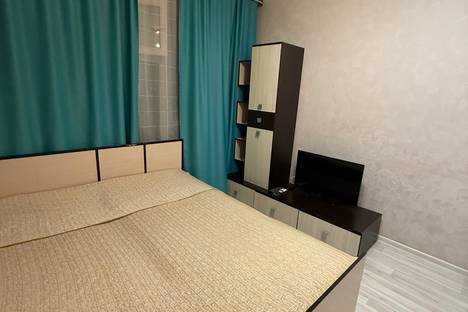 1-комнатная квартира в Новосибирске, ул. Виктора Уса, 9