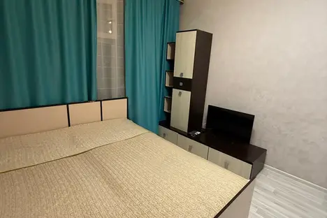 1-комнатная квартира в Новосибирске, ул. Виктора Уса, 9