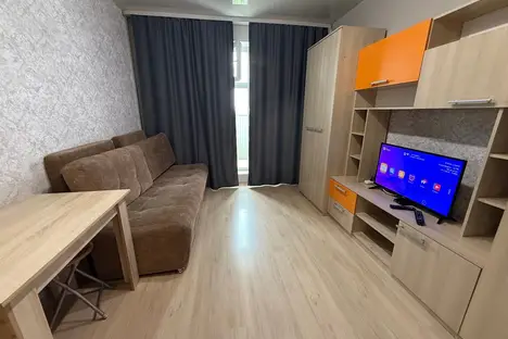 1-комнатная квартира в Новосибирске, ул. Виктора Уса, 9