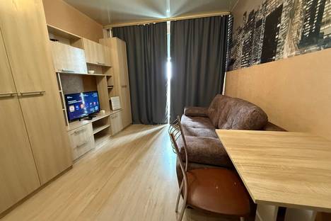 1-комнатная квартира в Новосибирске, ул. Виктора Уса, 9