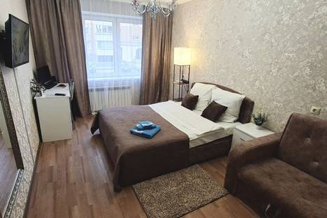 Однокомнатная квартира в аренду посуточно в Великих Луках по адресу пер. Пескарёва, 1к1