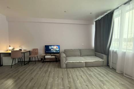 1-комнатная квартира в Сосновом Бору, Набережная ул., 49А